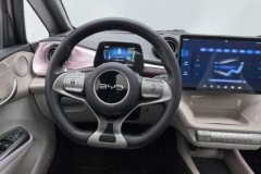 2024 BYD Dolphin 2025 520km knightEdition #15