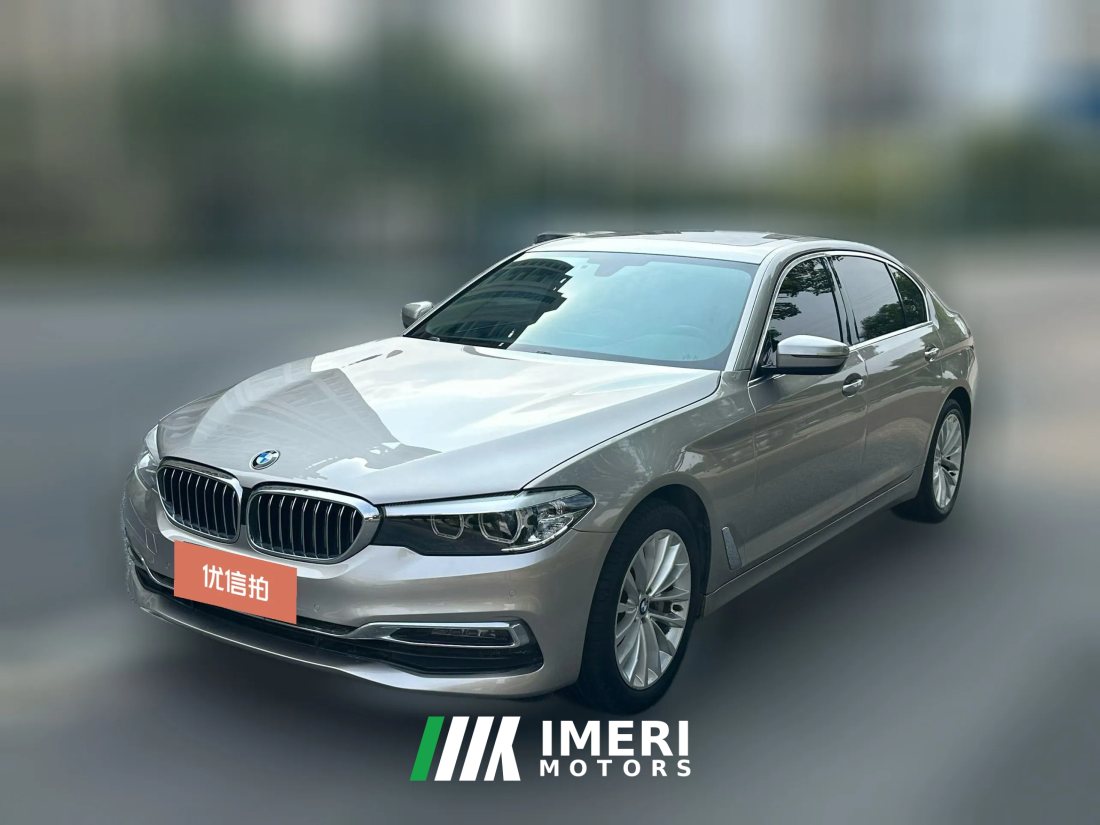 2019 BMW 5 Series 2019 2.0T AT 530LiLeadingMSport Pkg