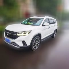 2020 Dongfeng Fengxing Fengxing T5L 2020 1.5T AT Luxury7Seat China VI #1