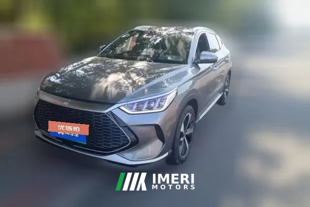 2022 BYD Song Plus New Energy 2021 1.5L AT DM-i 51KM Honor