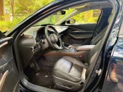 2021 Mazda CX-30 2021 2.0L AT Jiayue #6