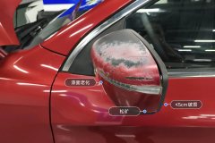 Left Exterior Mirror
