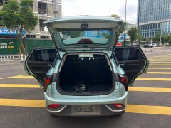 2022 Neta V 2022 tide 300 Lite LFP #13