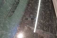 Windshield