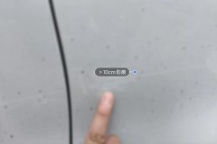 Left Rear Door