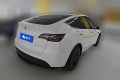 2021 Tesla Model Y 2021StandardBattery lifeRWDEdition #3