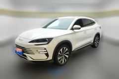 2024 BYD Song Plus New Energy 2024 Glory 1.5L AT DM-i 110km FlagshipPLUS #1