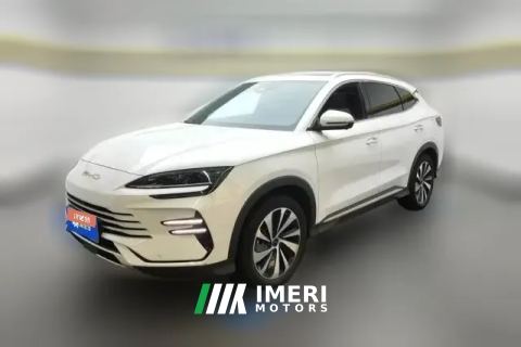 2024 BYD Song Plus New Energy 2024 Glory 1.5L AT DM-i 110km FlagshipPLUS