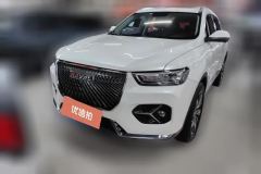 2021 Haval H6 2021 1.5T AT ChampionGDI #1