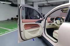 2024 Ora Good Cat 2024 401km Luxury #7