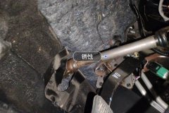 Steering Column