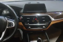 2017 BMW 5 Series 2018 2.0T AT 528LiLaunch Special #13