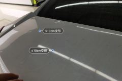 Trunk Lid