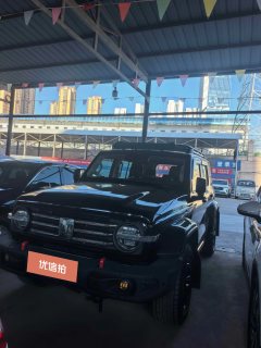 2022 Tank 300 2022 2.0T AT TankRanger #1