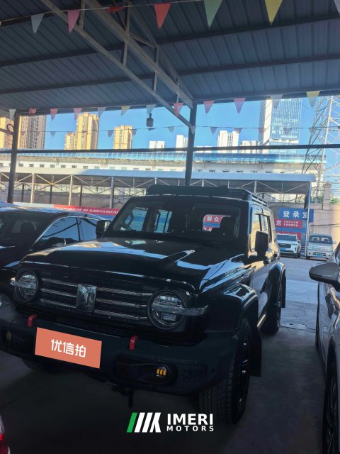 2022 Tank 300 2022 2.0T AT TankRanger