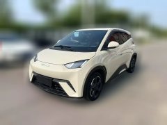 2024 BYD Seagull 2024 Glory 305KM freeEdition #1