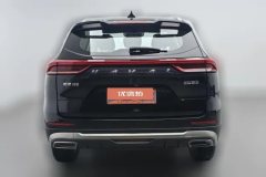 2021 Haval H6 2021 1.5T AT China tideChampion #4