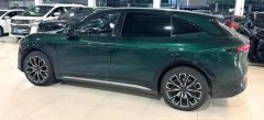 2024 Zeekr 7X 2025 100kWh Long RangeRWDSmart Drive #9
