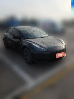 2021 Tesla Model 3 2021 StandardBattery lifeRWDUpgradeEdition #4
