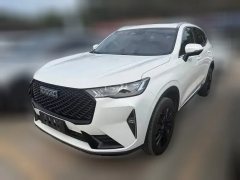 2023 Haval H6 2021 1.5T AT No.3generation2WDMax #1