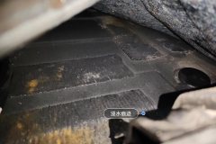 Right Rear Carpet