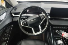 2024 Haval H6 2024 1.5T AT 2WDClassic #15