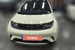 2024 BYD Dolphin 2024 Glory 420km Fashion #2