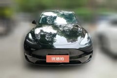 2021 Tesla Model Y 2021StandardBattery lifeRWDEdition #2