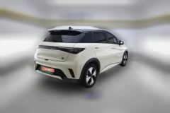 2023 BYD Dolphin 2023 420km Fashion #3