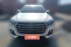 2022 Haval H6 2021 1.5T AT China tideUrbanEdition #2