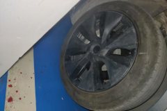 2024 Tesla Model Y 2024 rear wheel driveEdition #6