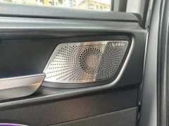 2022 Tank 300 2021 Off-road 2.0TAT conqueror #4
