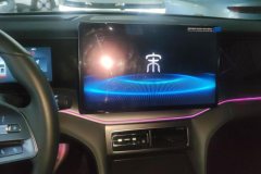 2025 BYD Song L DM-i 2025 Smart Drive 112km Surpass #13