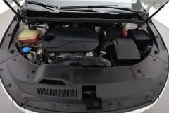 2022 BYD Song MAX 2021 1.5T AT UpgradeEditionLuxury7Seat #7