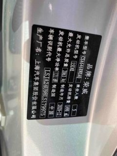 2021 Roewe RX5 MAX 2021 SupremeSeries 2.0T AT 400TGI ATLuxurySeatcabinEdition #14