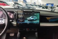 2022 GAC Trumpchi Trumpchi GS8 2022 PilotSeries 2.0TGDI AT 2WDLuxurySmart Connect（6Seat） #13