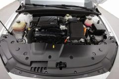 2024 BYD Qin Plus 2024 Glory 1.5L AT DM-i 55KMLeading #7