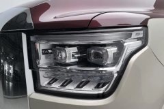 2022 Tank 500 2022 3.0T AT high-endCustom 5Seat #5