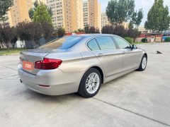 2015 BMW 5 Series 2014 2.0T AT 525LiLeading #9