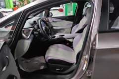 2022 BYD Dolphin 2021 401km knightEdition #9