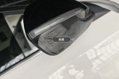 Right Exterior Mirror
