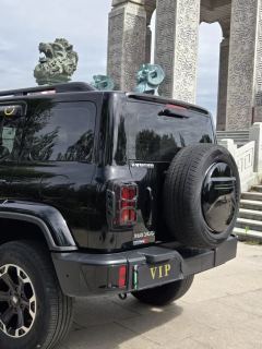 2024 Tank 300 PHEV 2024 2.0T AT Hi4-T #10