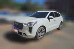 2021 Haval Chulian 2021 1.5T AT Large2Edition #1