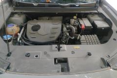 2024 Jetour Dasheng 2024 1.5T AT DCT star shinePRO #10