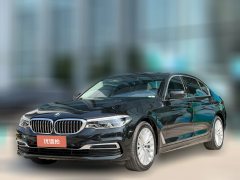 2020 BMW 5 Series 2020 2.0T AT 530LiExclusiveLuxury Pkg #1