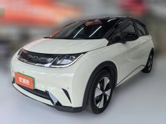2024 BYD Dolphin 2024 Glory 420km Fashion #1