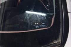 Windshield