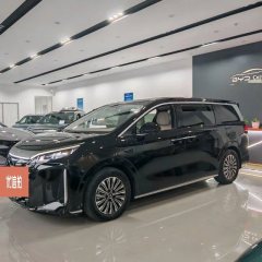 2025 BYD Xia 2025 DM-i 1.5T AT 180km excellence #6