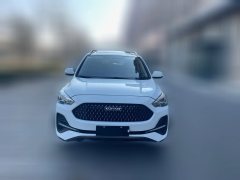 2019 Haval M6 2019 1.5T AT DCTElite China VI #2