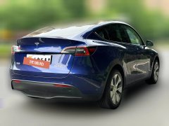 2021 Tesla Model Y 2021StandardBattery lifeRWDEdition #10